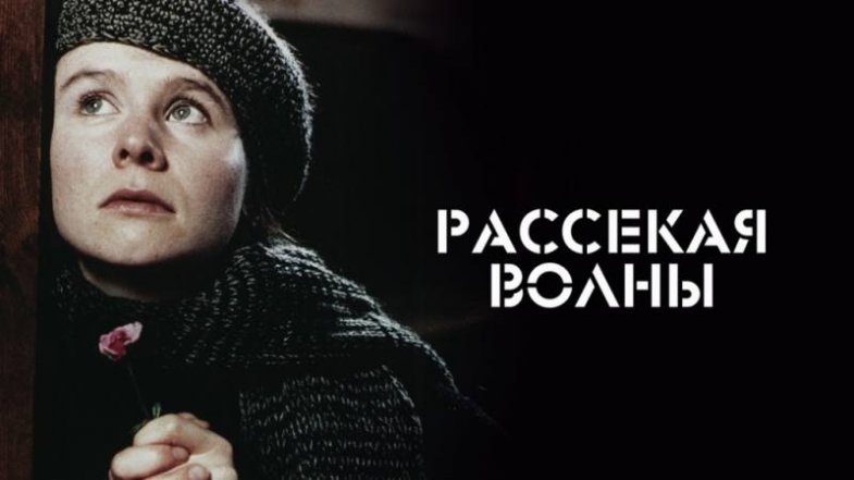 Рассекая волны, постер, дата выхода, кадры, трейлер